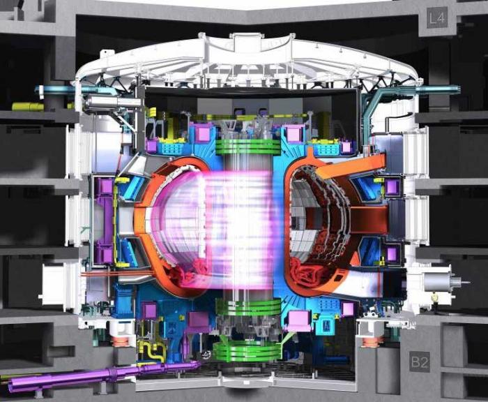 Inside the world's first reactor that will power Earth using the