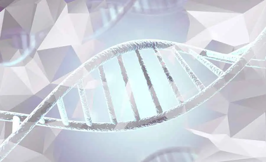 dna origami unfolding risk bulletin