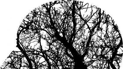 tree branch silhouette and human brain