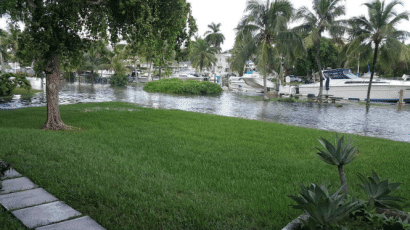 Flooding from a king tide inundates a neighborhood served by septic tanks. Credit: Miami-Dade County