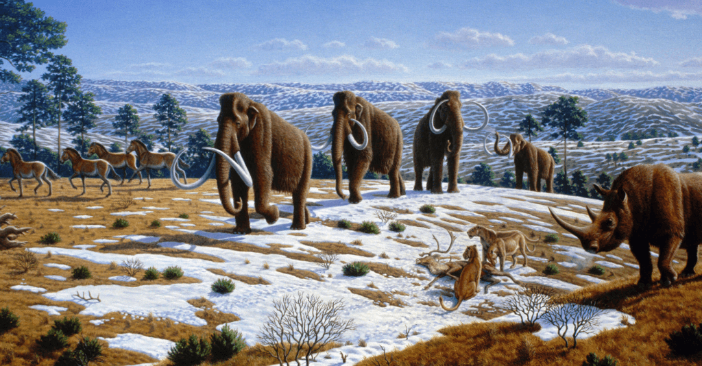 Woolly mammoths once were plentiful on the tundra. Illustration: Mauricio Antón via Wikimedia Commons. CC BY 2.5. Cropped.