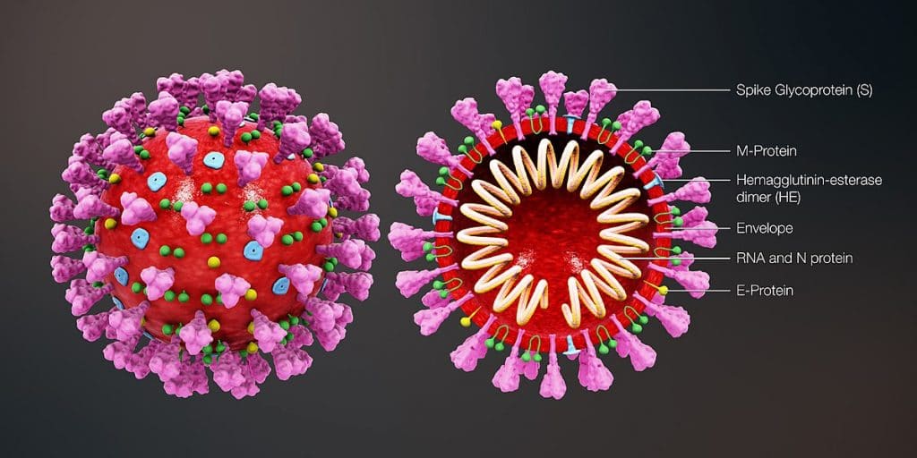 Coronavirus - Bulletin of the Atomic Scientists