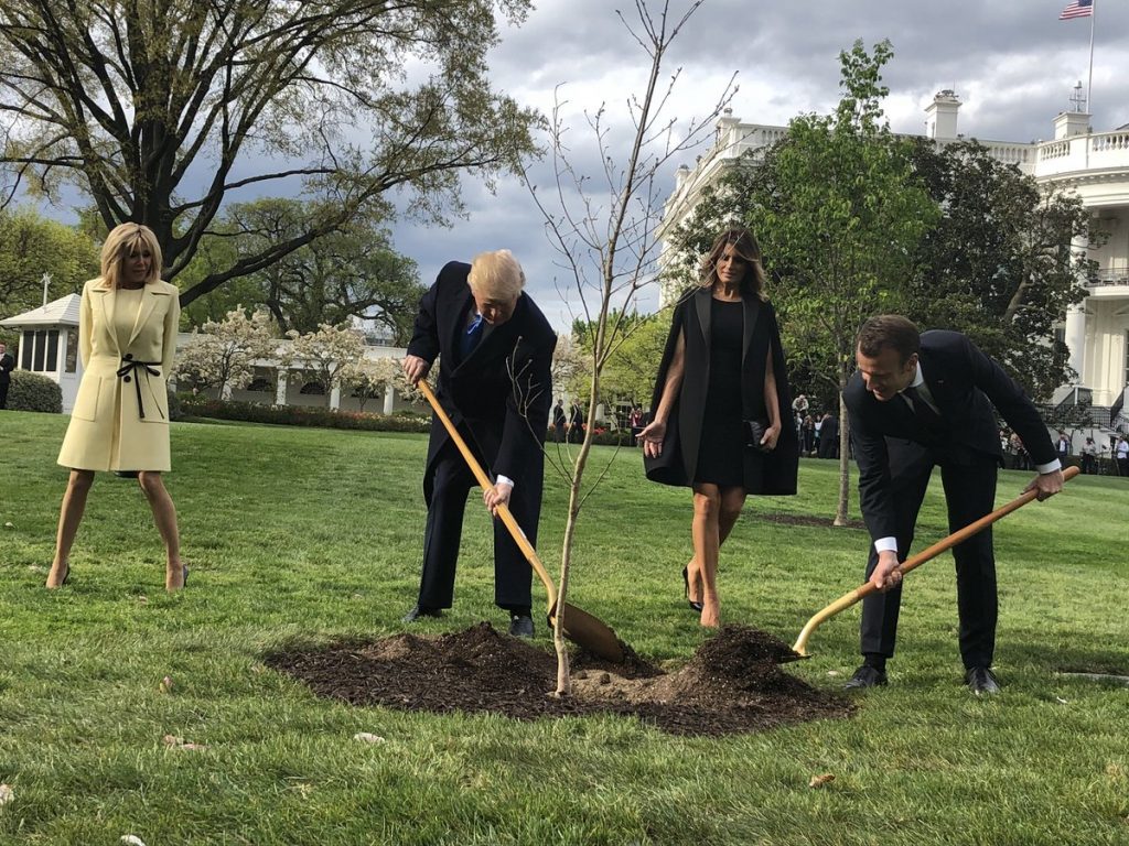 Trump and Macron plant a tree