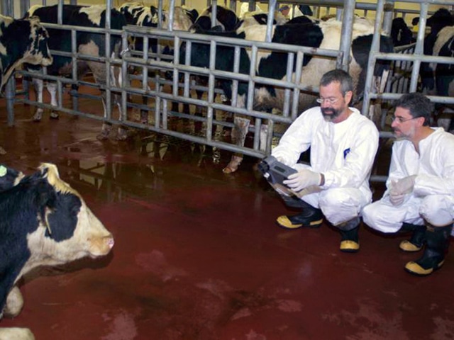 Plum Island scientists use an infrared thermography camera to identify cattle infected with foot-and-mouth disease virus in 2009. Photo by <a href="https://www.ars.usda.gov/oc/images/photos/apr09/d1392-1/">USDA</a> / Kathleen Apicelli