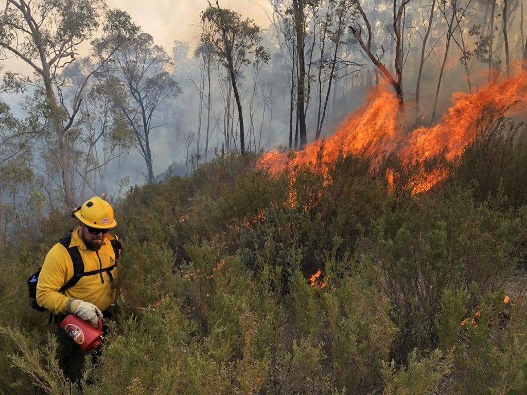 firefighter with wild fire in Australia