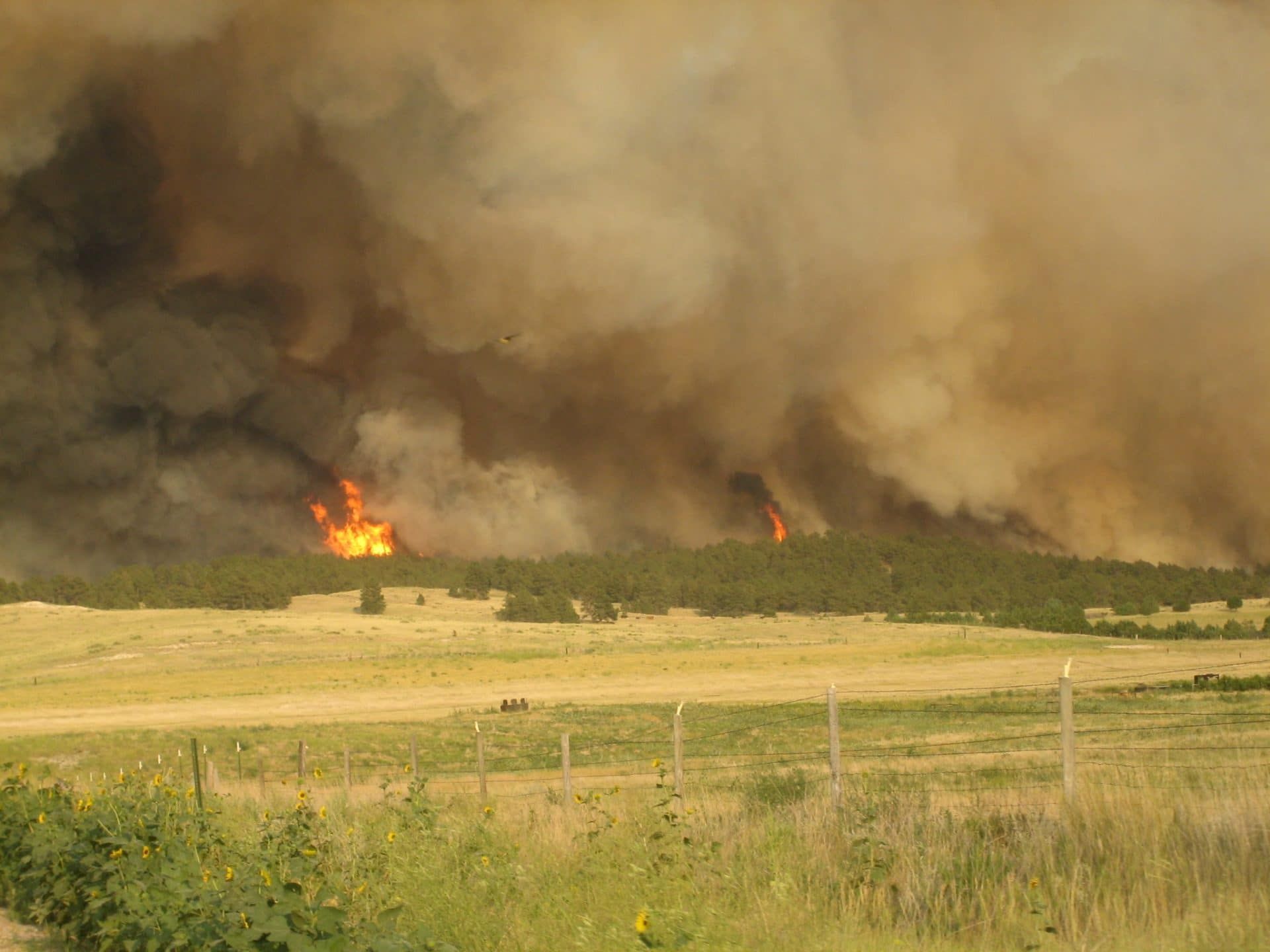 Spotted Tail Fire, only several hours old, rages northward toward the town of Chadron, Nebraska