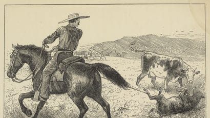 old woodcut of cowboy lassoing calf