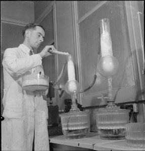 scientist making penicillin in lab in 1940s