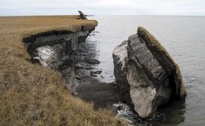 permafrost cliff collapses into ocean