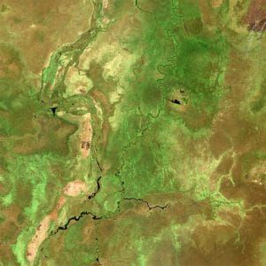 satellite view of wetlands of South Sudan
