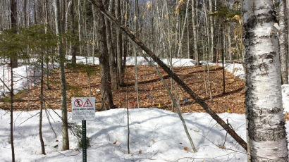 A forest test plot, where snow was removed to see the effects of the lack of this insulating blanket. (Image courtesy of Pamela Templer.)