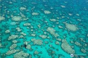 reef from small plane