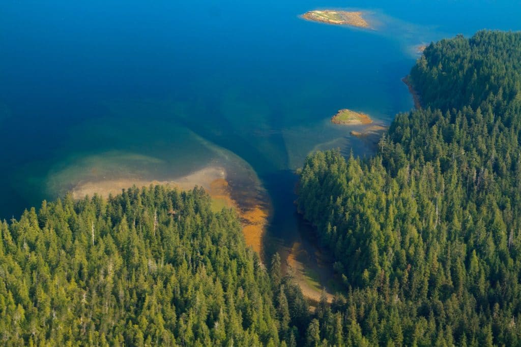 Aerial view of Tongass National Forest