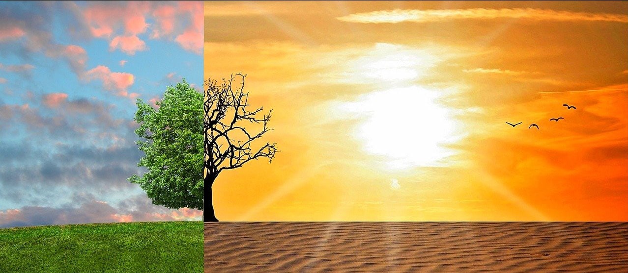 https://thebulletin.org/wp-content/uploads/2021/01/Green-tree-vs-desert-150x150.jpg