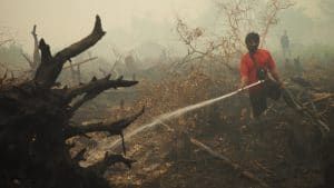 firefighting peat fire Borneo
