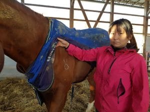 Fukushima horse with irradiated brand