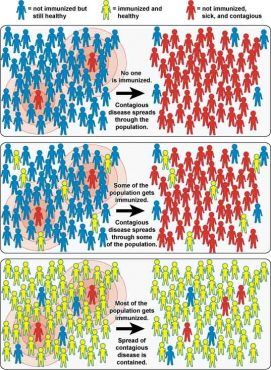 A chart depicts the concept of herd immunity.