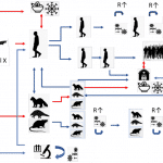 who covid-19 coronavirus origins china report