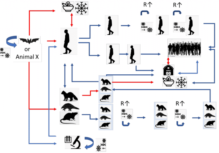 WHO’s “exciting Adventure” To Find The Origins Of COVID-19 Runs Into ...