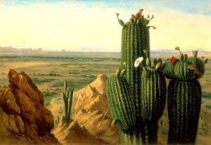 artist view of Gila River in 1855
