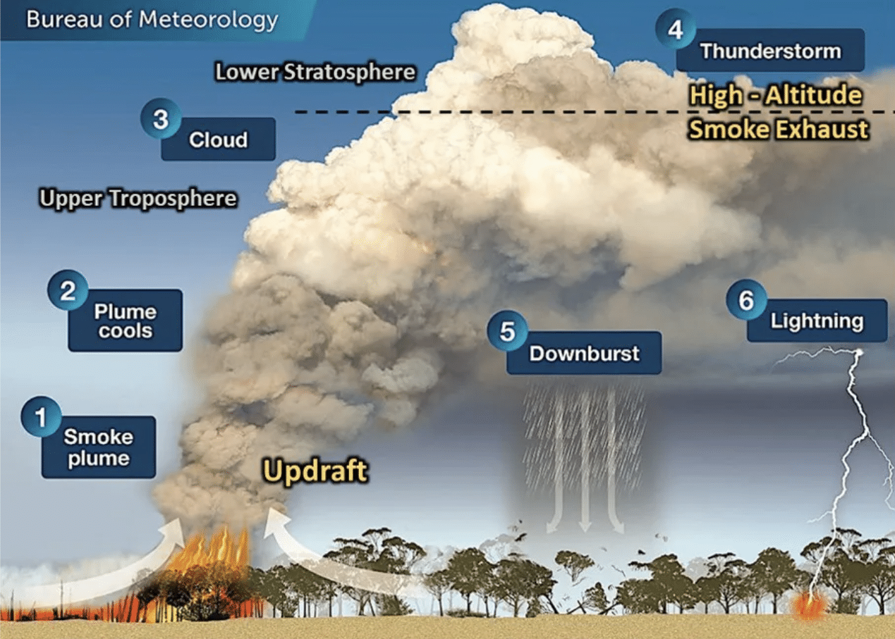 Smoke thunderclouds: Wildfires use the atmosphere to light more