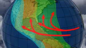 bird migration routes and hurricane tracks