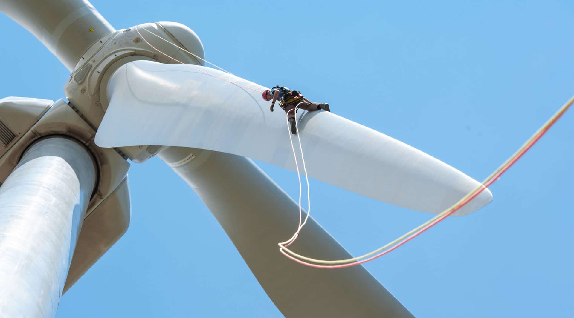 Your wind turbine's power and data cables may be wearing faster