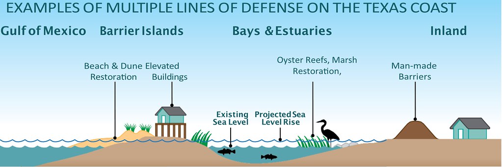 Above and below, diagrams and renderings of proposed defenses against rising water along the Gulf coast, including beach restoration (left) and dunes in place of walls (right). (US Army Corps of Engineers)