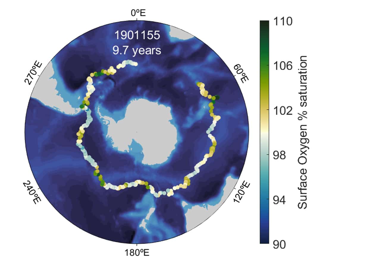 map of the path of a biogeochemical float