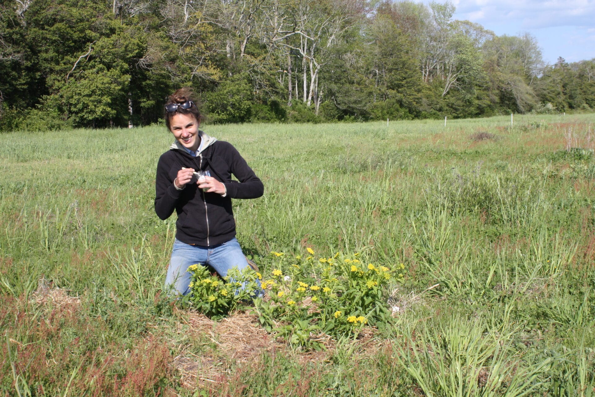 Scientist in a field