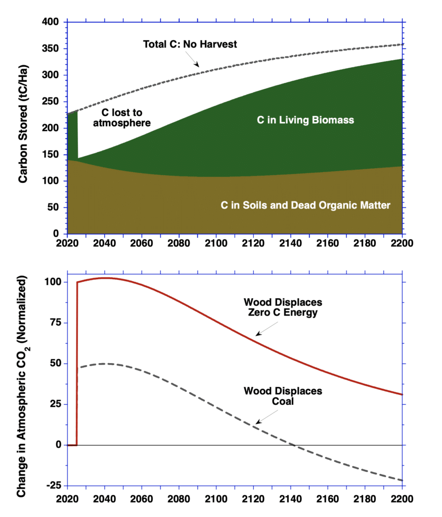 changes in carbon, by burning wood