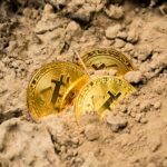 illustration bitcoin in the dirt