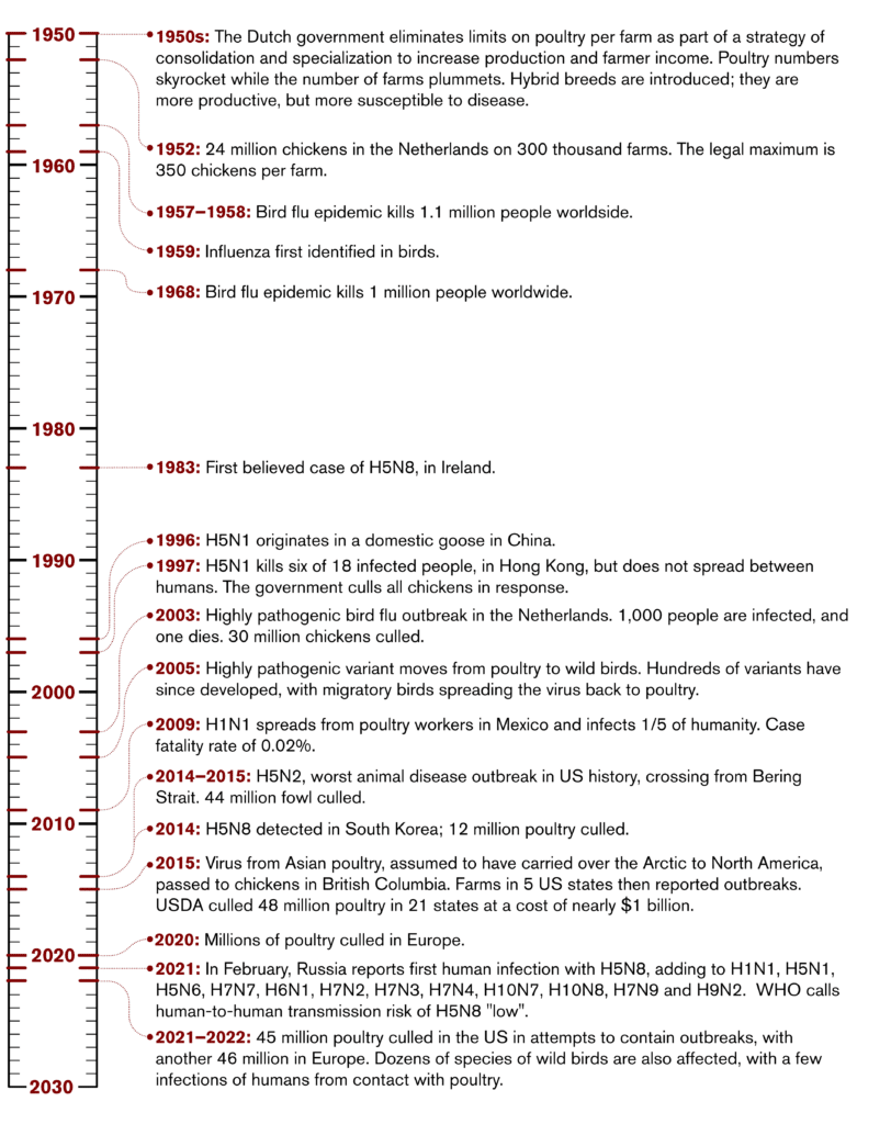 Is the next pandemic brewing on the Netherlands’ poultry farms ...