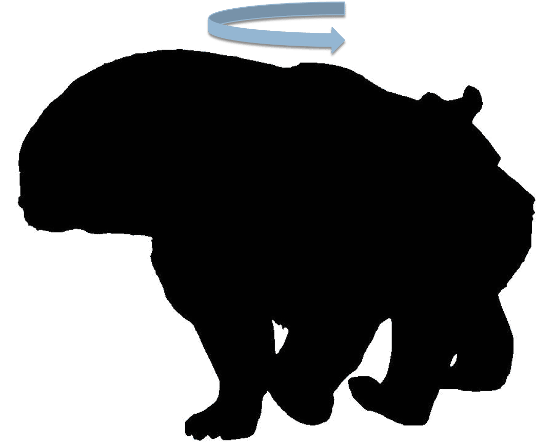 altered silhouette of bear