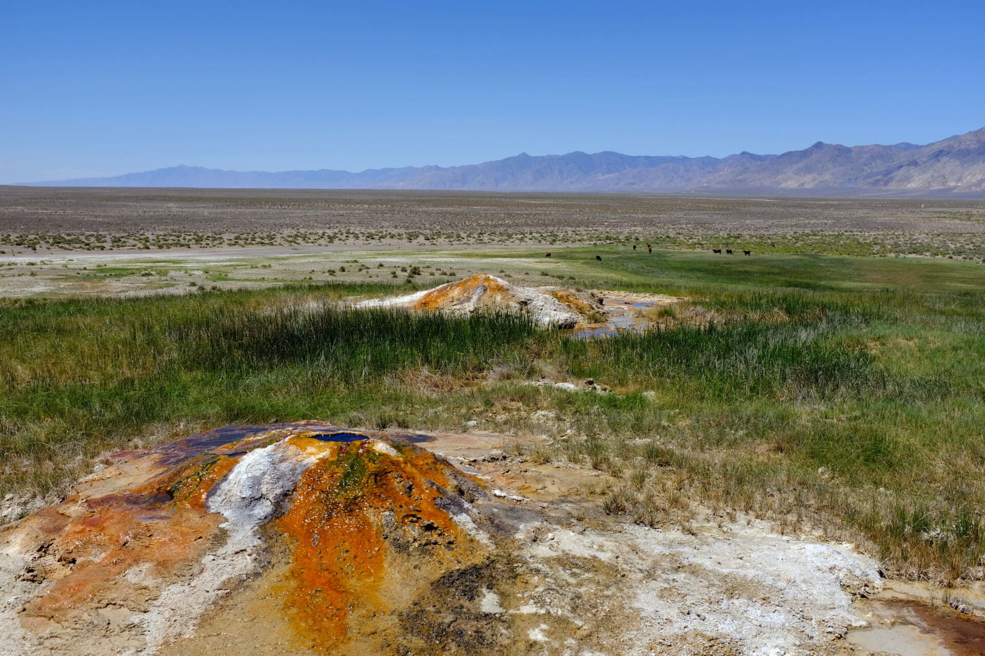 Travertine cones at Hyder Hot Springs in Dixie Valley. Historically, the easiest way to find geothermal reservoirs was to look for obvious surface expressions like these. (Jessica McKenzie)