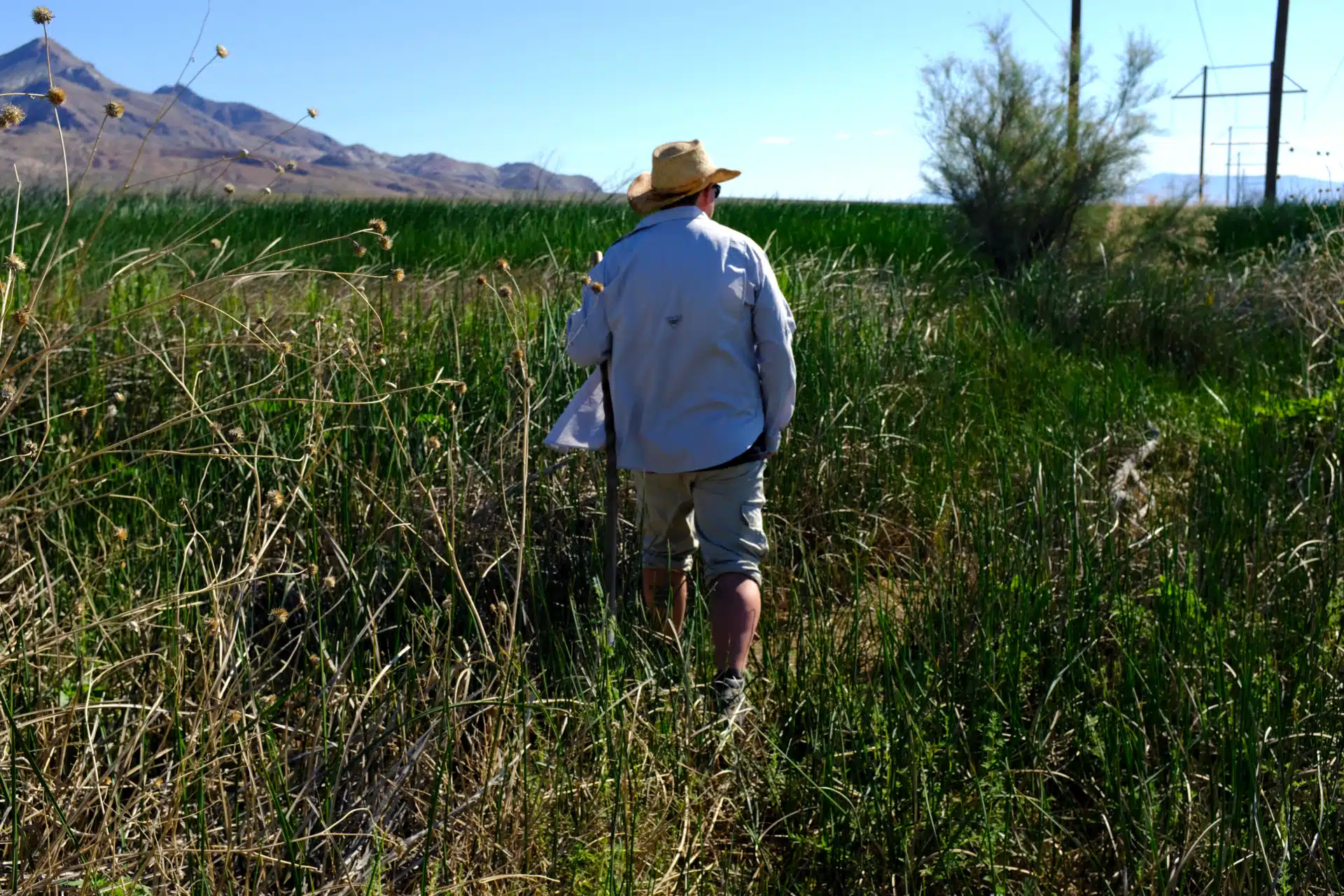 Unlike other toad species that spend winters in underground burrows, the Dixie Valley toad prefers the warm waters near the hot springs. Patrick Donnelly fears the proposed Dixie Meadows geothermal project could alter the springs the toads depend upon for survival. (Jessica McKenzie)