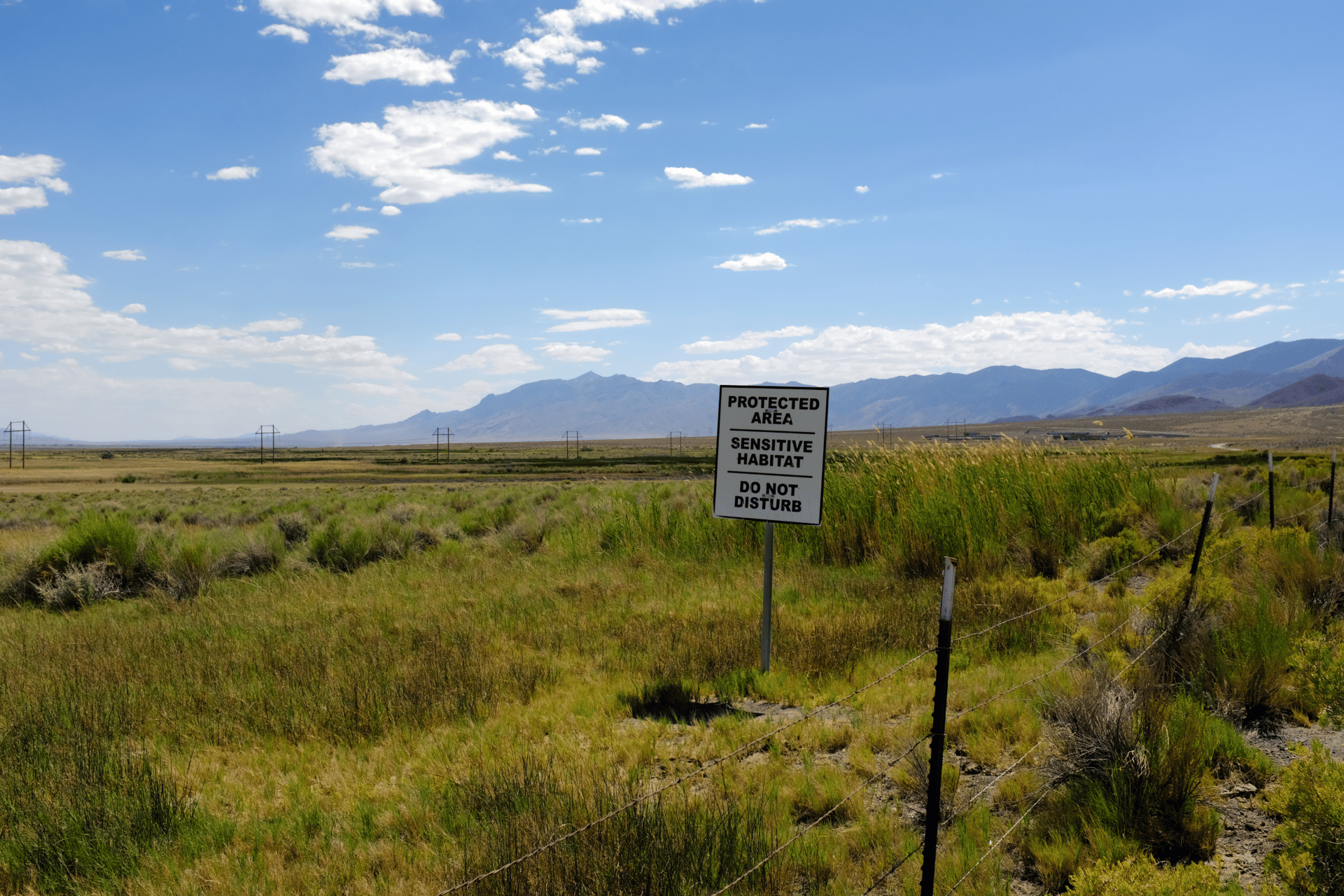 A sign in Dixie Meadows, with construction of the Dixie Meadows geothermal project visible in the right middle ground. Also visible is the highest point in the Stillwater Range, Job Peak, known as Fox Peak to the Fallon Paiute-Shoshone Tribe. Fox Peak is a sacred site, and the origin of humanity according to the tribe’s creation stories. (Jessica McKenzie)