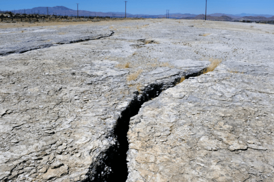 Showdown in Dixie Valley: Battle over geothermal project pits tiny toad ...