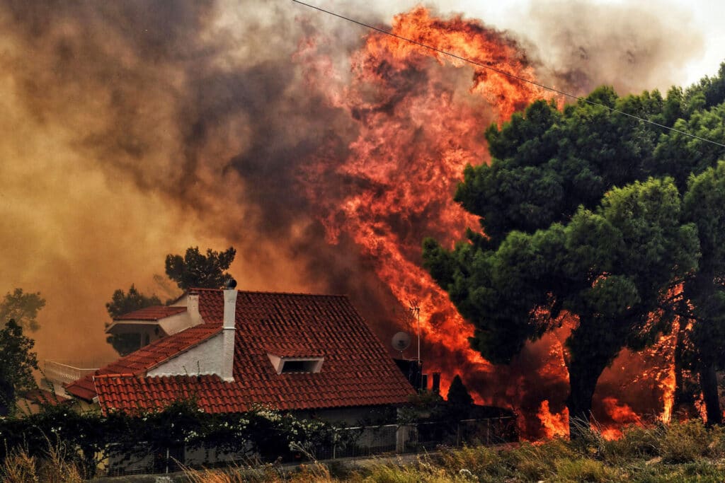 a wildfire burns near a tree and a building