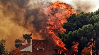 a wildfire burns near a tree and a building