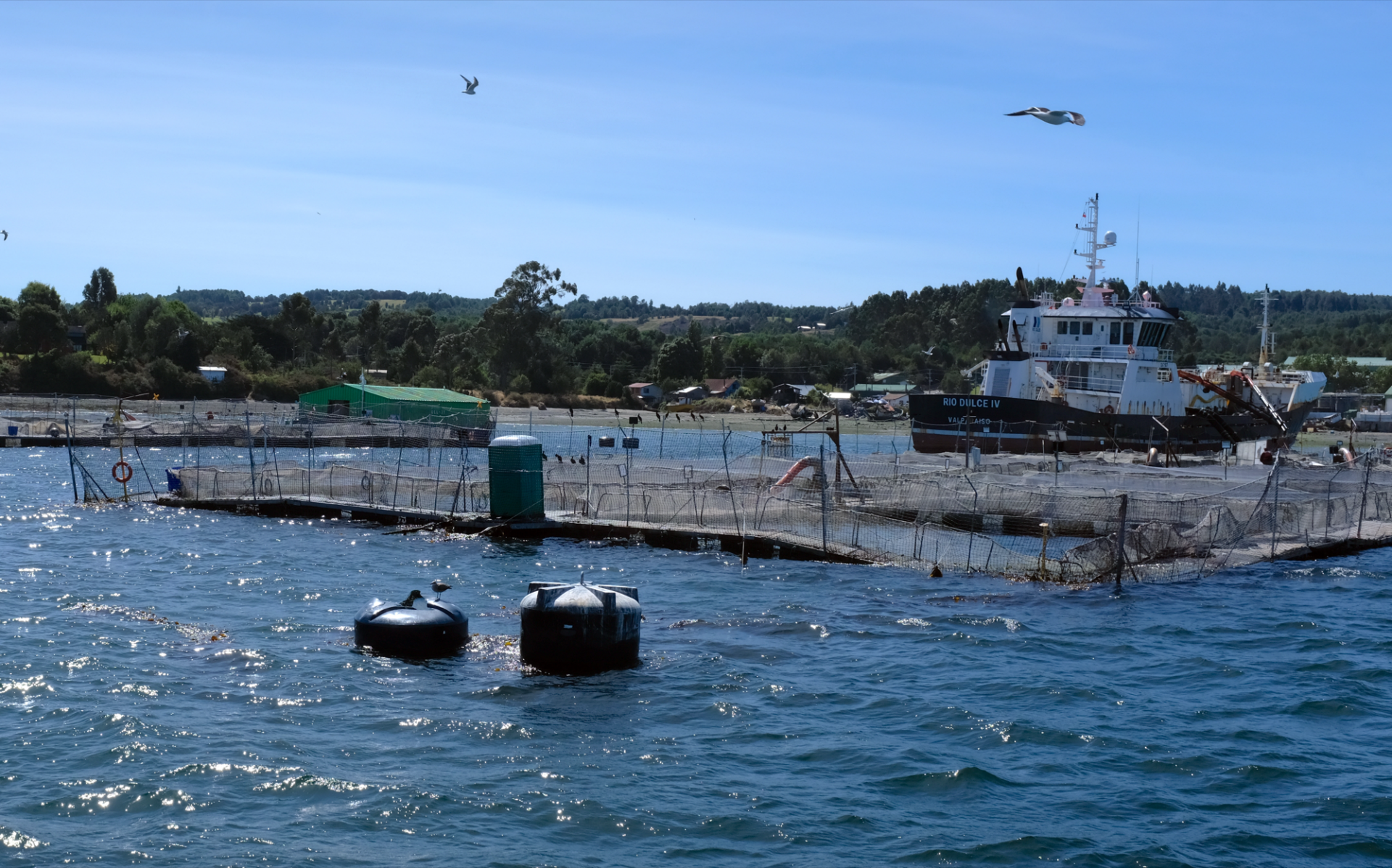 Home Pool, Sulphur Creek: Losing a Favorite Fishing Spot to Climate Change  - Patagonia Stories