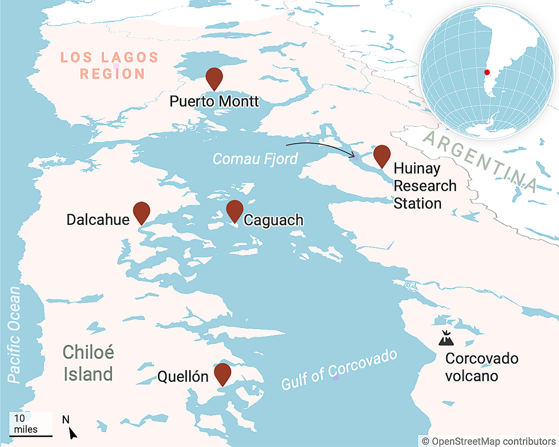 Atlantic Salmon Net Pens Don't Belong in Puget Sound - Patagonia Stories