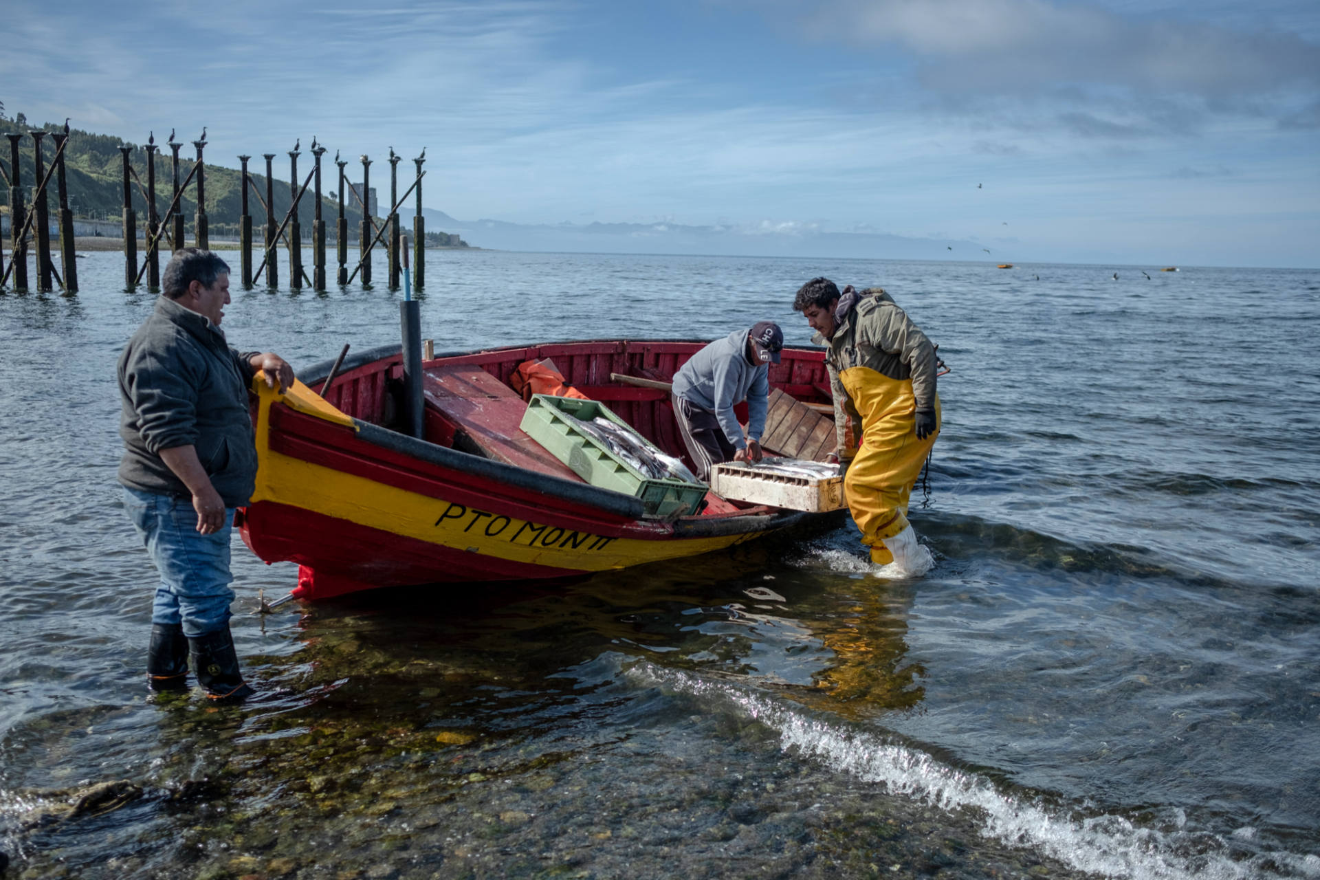 Artisanal fishermen arrive with fresh fish for sale in Puerto Montt on February 27, 2023. (Photo: Cristobal Venegas)