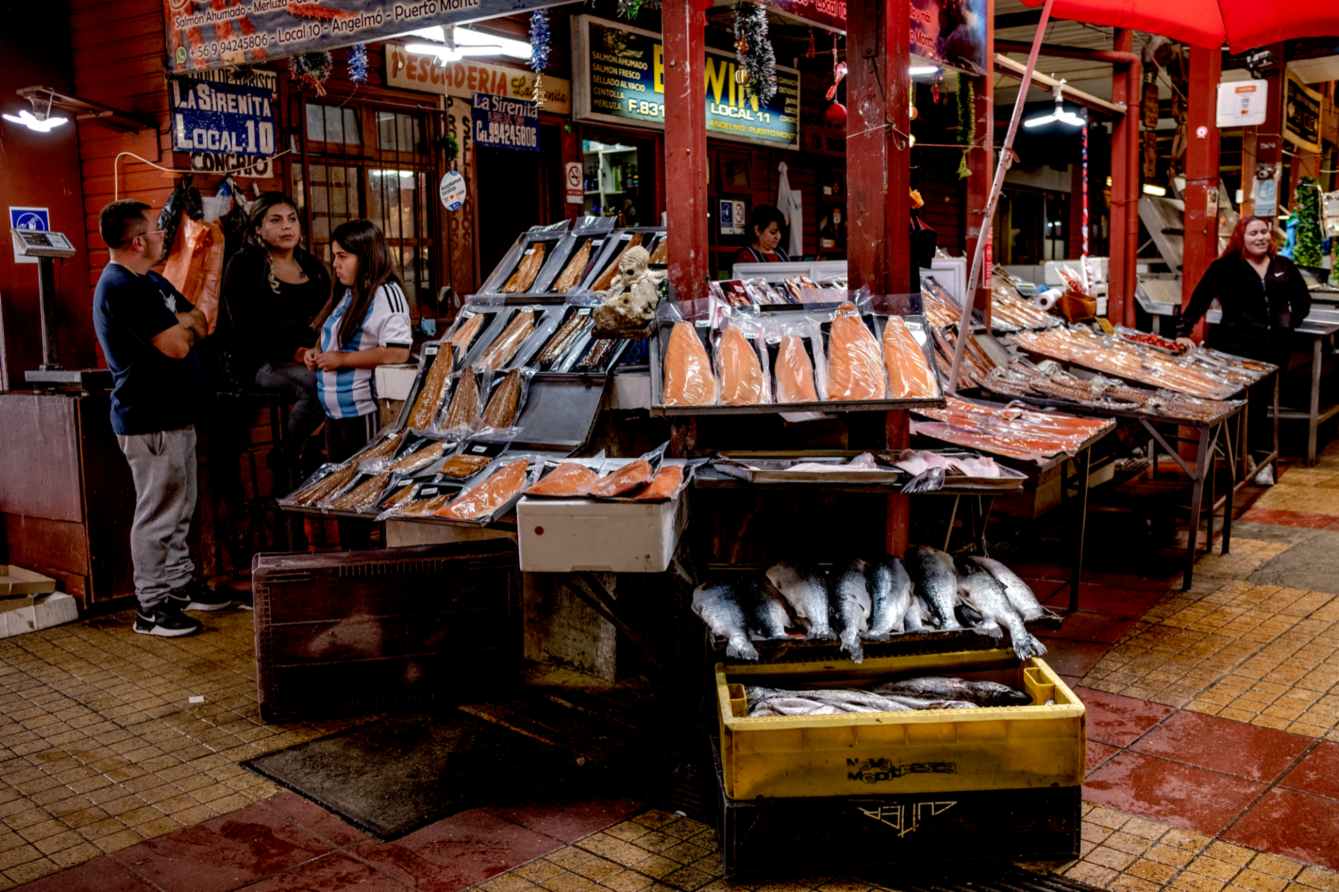 Salmon for sale at the Angelmo Fish Market in Puerto Montt. When asked where the salmon came from, the seller said somewhere in the region but she wasn’t sure where. (Photo: Cristobal Venegas)