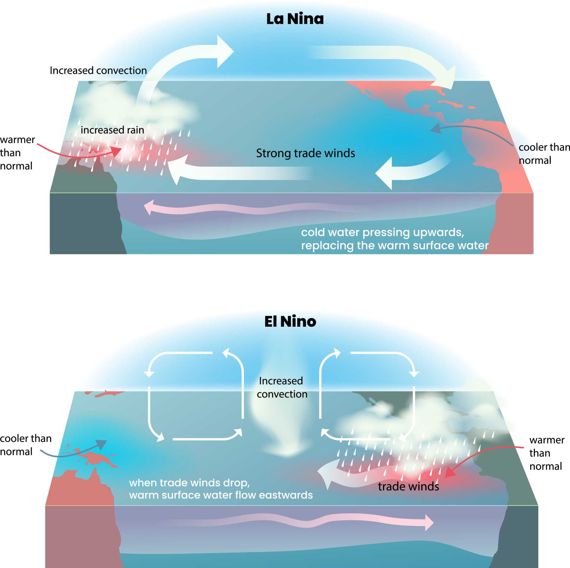 The oscillating La Niña and El Niño phases. Adobe / Zombiu26.