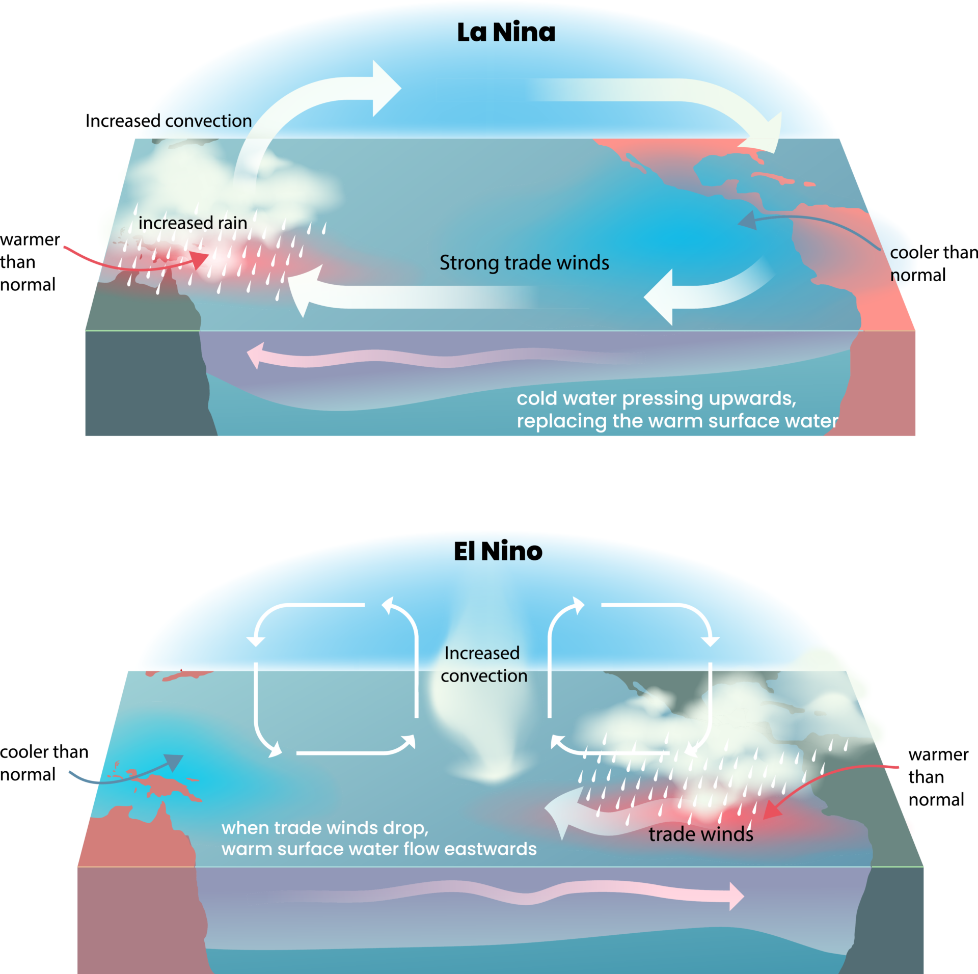 El Niño and La Niña