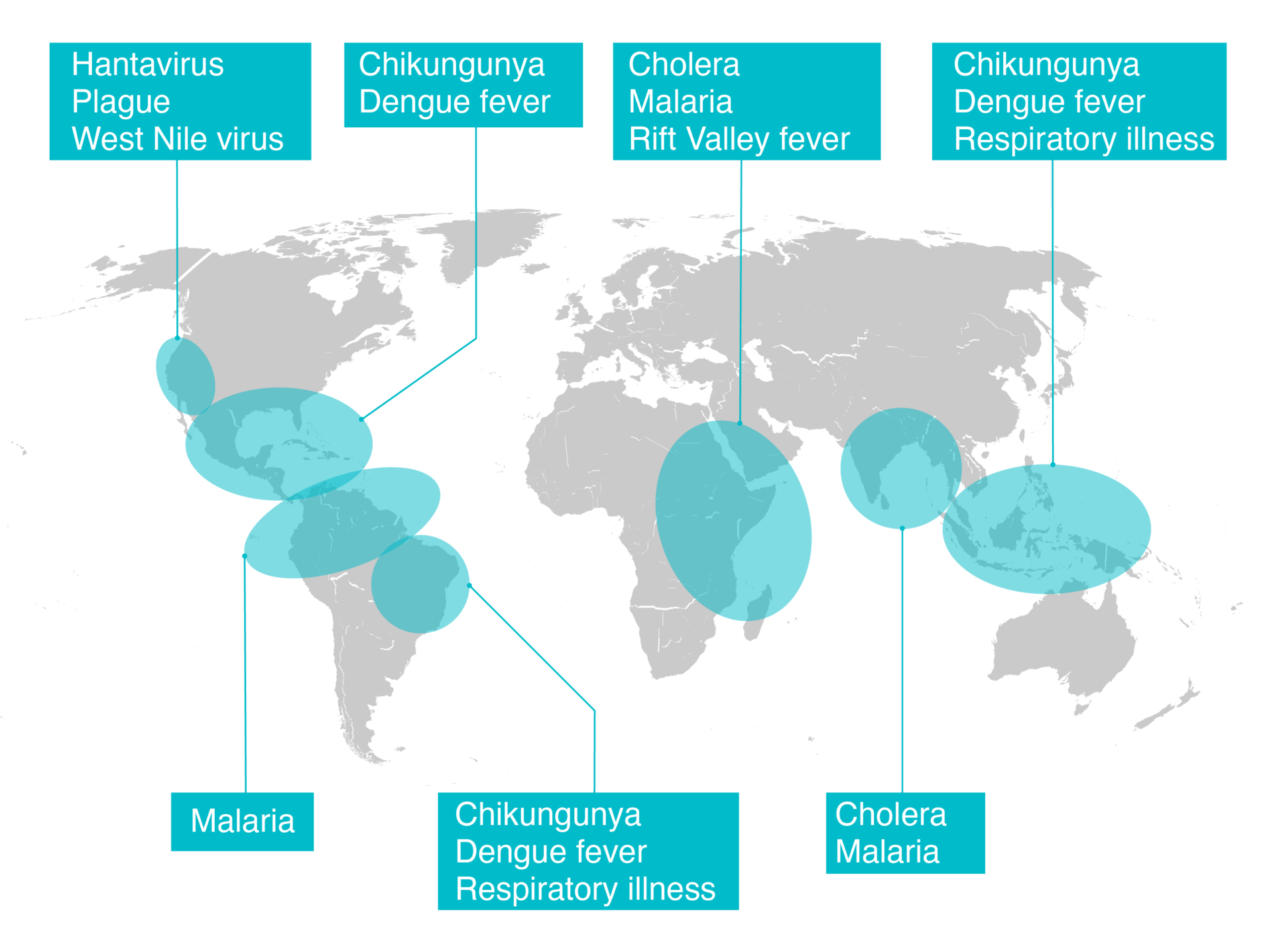 Elevated risk for specific disease outbreaks due to the forecast of El Niño conditions through spring of 2016. Modified by Erik English based on Climate.gov and Assaf Anyamba (ORNL).