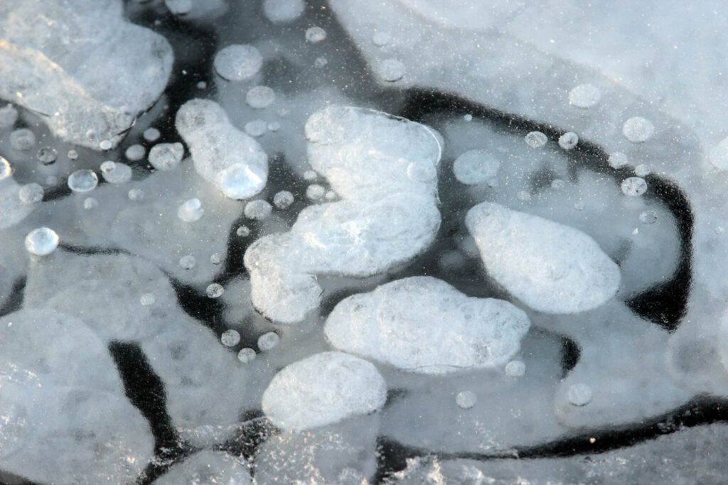 gas bubbles under frozen lake