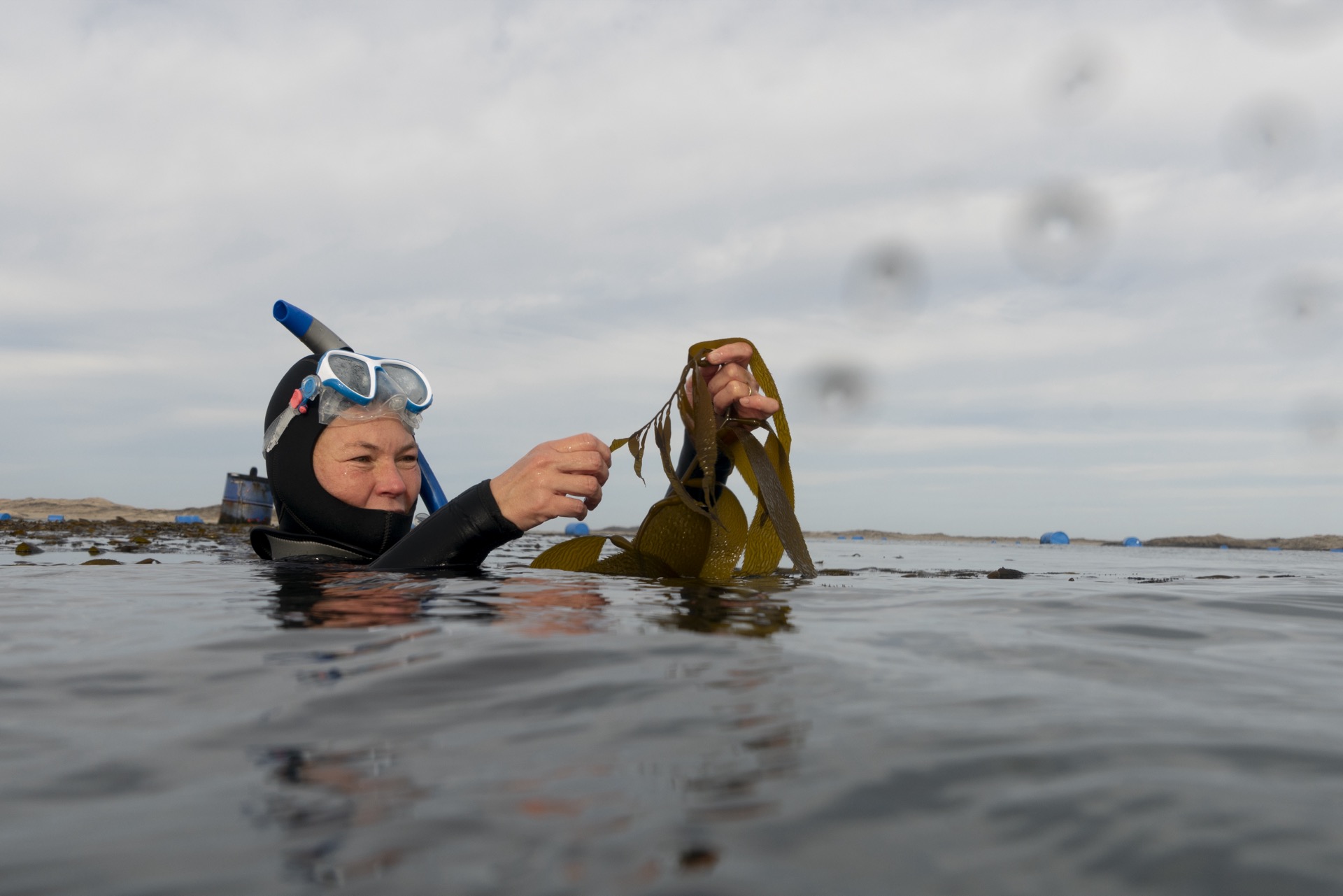 Caroline Slootweg, co-founder of Kelp Blue, examines the kelp in the pilot farm off the coast of Lüderitz, Namibia, August 18, 2023. Adriane Ohanesian for the Bulletin of the Atomic Scientists