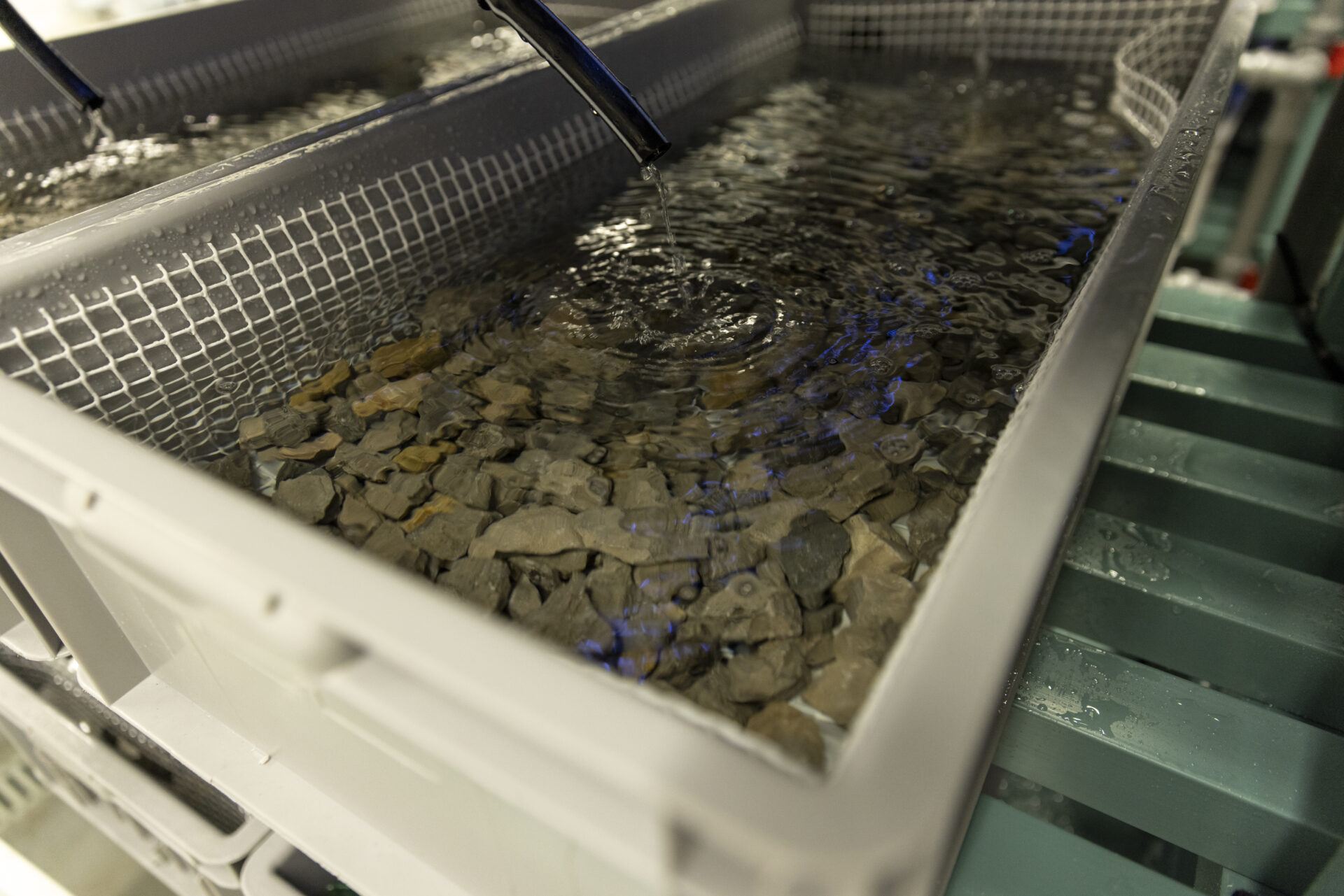Gravel is prepared in a cultivation tray at the the Marine and Environmental Sciences Centre in Peniche, Portugal. (Photo courtesy Jan Verbeek)